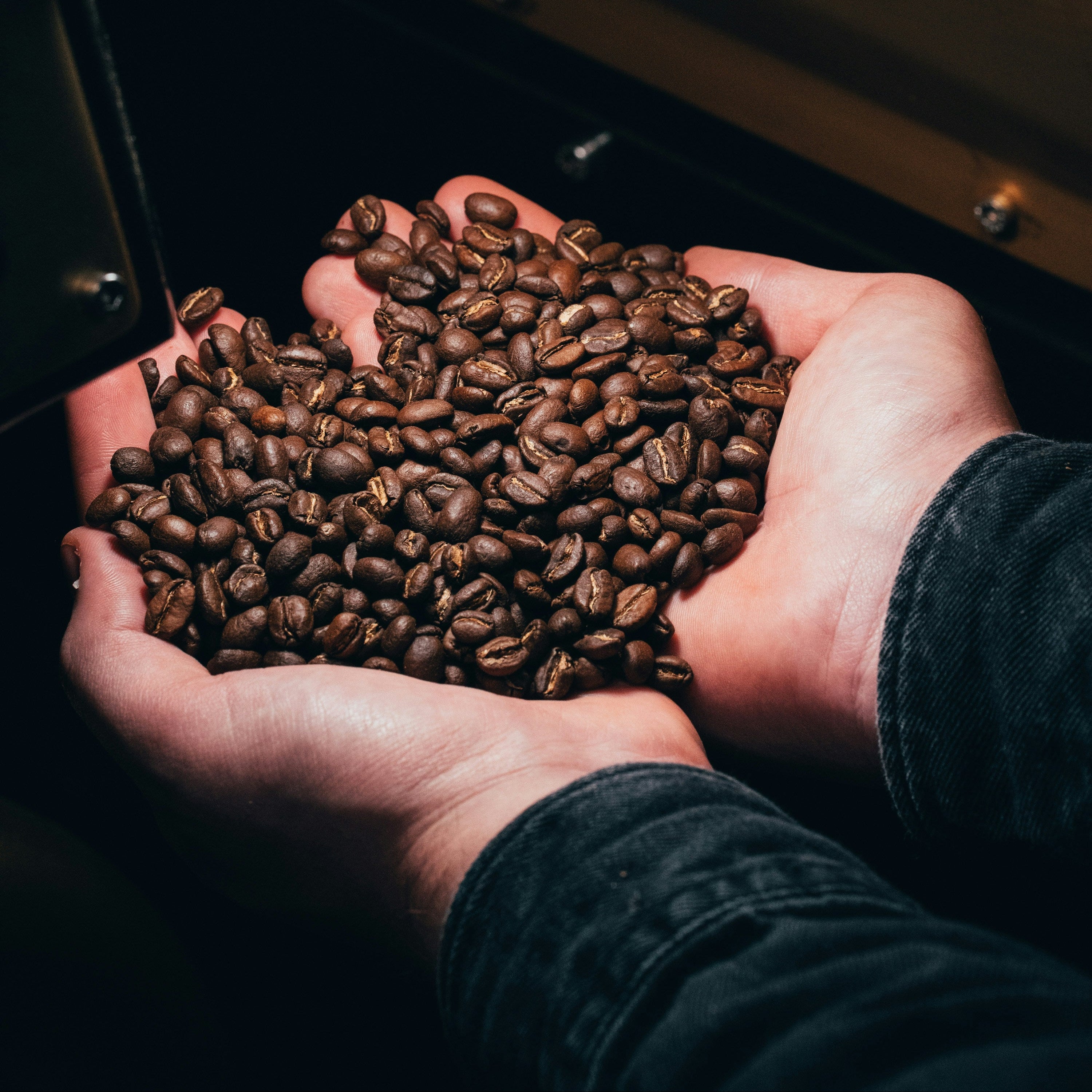Hands holding coffee beans in front of a coffee machine.