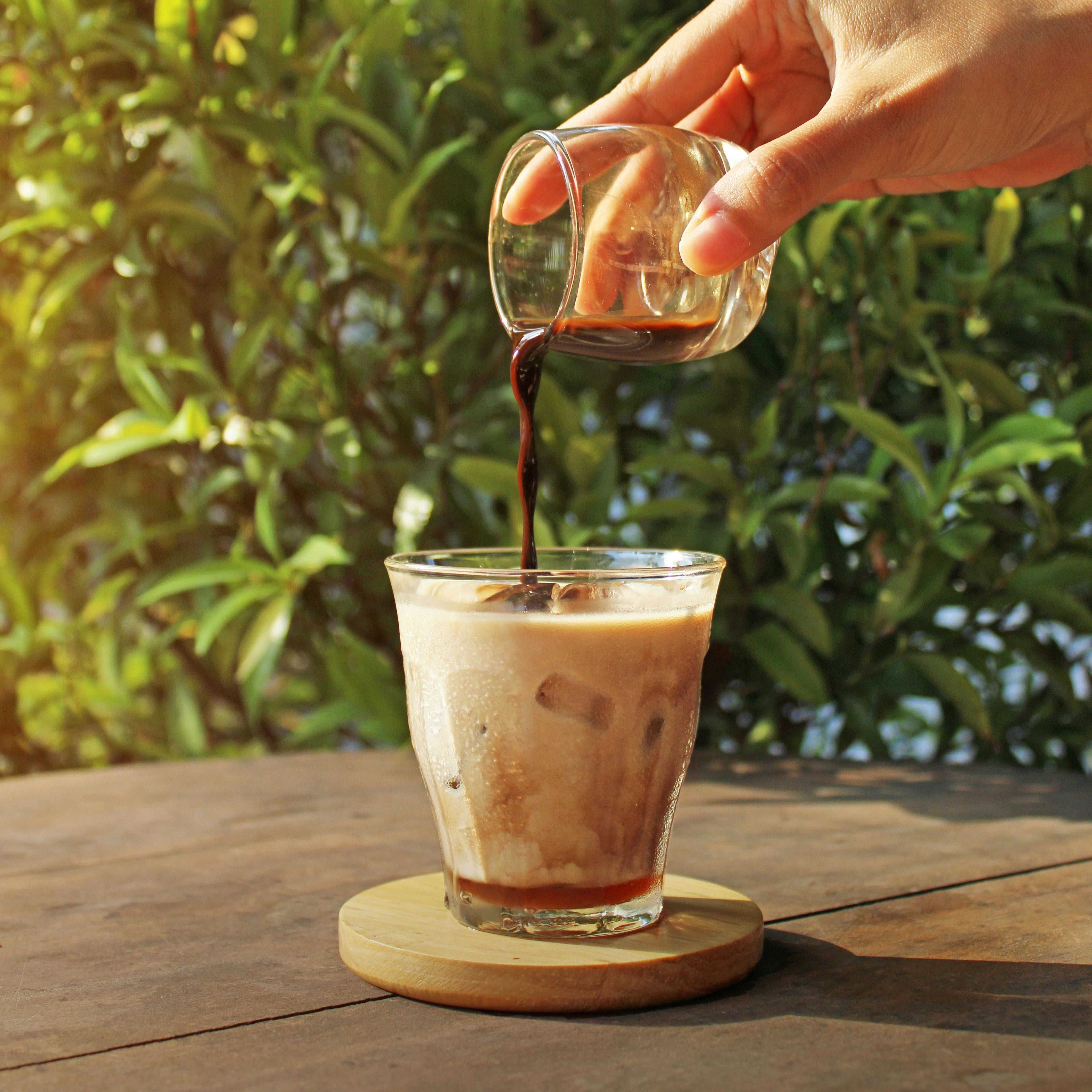 Just Decaf - Premium Decaf Coffee Beans for a Smooth, Guilt-Free Brew